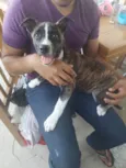 Mel