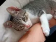 Denji