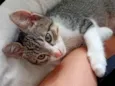 Denji