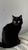 Lua