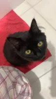 Lua