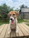 CHIQUINHA
