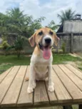 CHIQUINHA