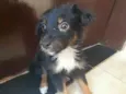 Lola