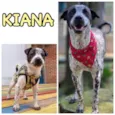 KIANA