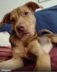 Carmelo