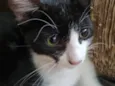 Hilbert