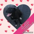 Zoe