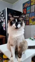 Que nome você me daria?