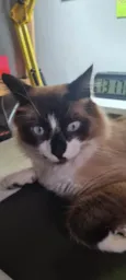 Que nome você me daria?