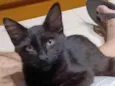 MELK