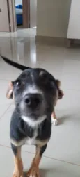 Maggie