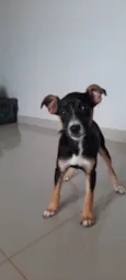 Maggie