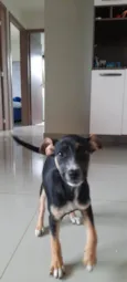 Maggie