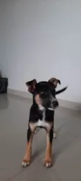 Maggie