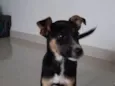 Maggie
