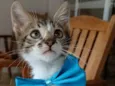 Felix