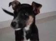 Maggie