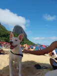 Vitória