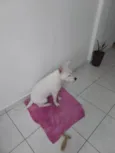 Vitória