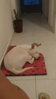 Vitória