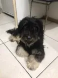 Titã