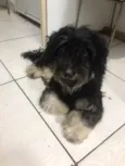 Titã