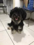 Titã