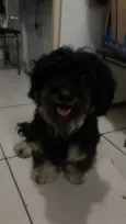 Titã