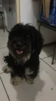 Titã
