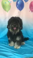 Titã