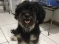Titã