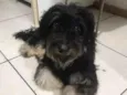 Titã