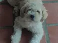 Mike