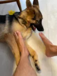 Skye