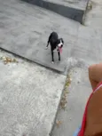 Não sei encontrei ontem na rua perdida 