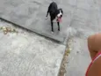 Não sei encontrei ontem na rua perdida 