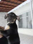 Juju