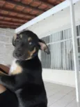 Juju