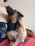 Zé