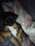 Zé