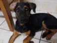 Zé