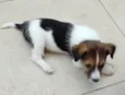 Miguel
