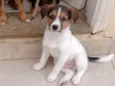 Miguel
