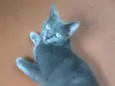 Zuzú Fofinha