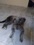 Piterr