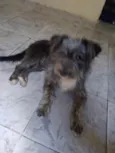Piterr