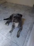 Piterr