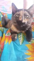 Dora