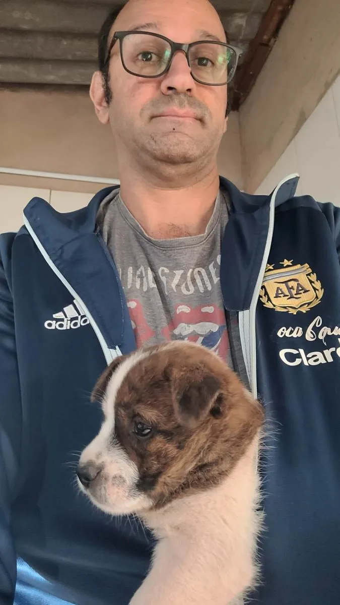 Cachorro ra a SRD-ViraLata idade Abaixo de 2 meses nome Bebê 